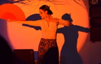 Oficinas de dança flamenca na programação do Flamenco Vivo na Várzea
